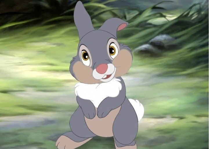 Panpan jeune