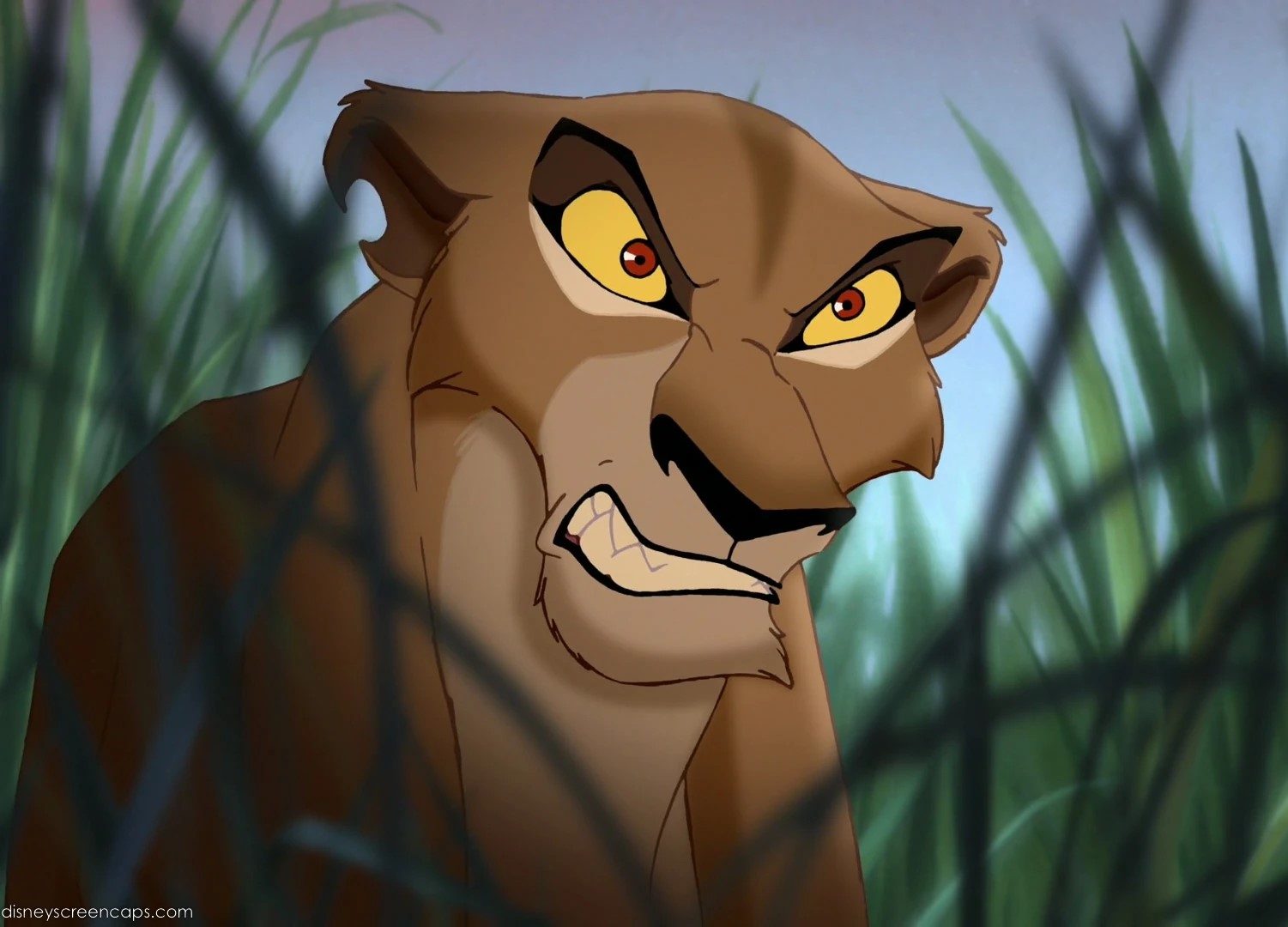 Photo de Zira