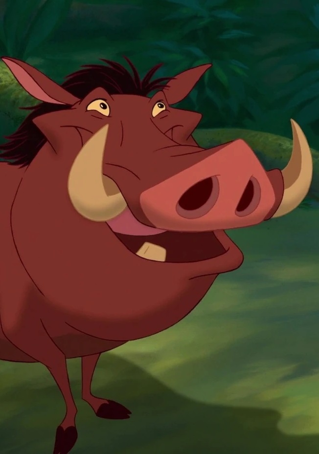 Photo de Pumbaa