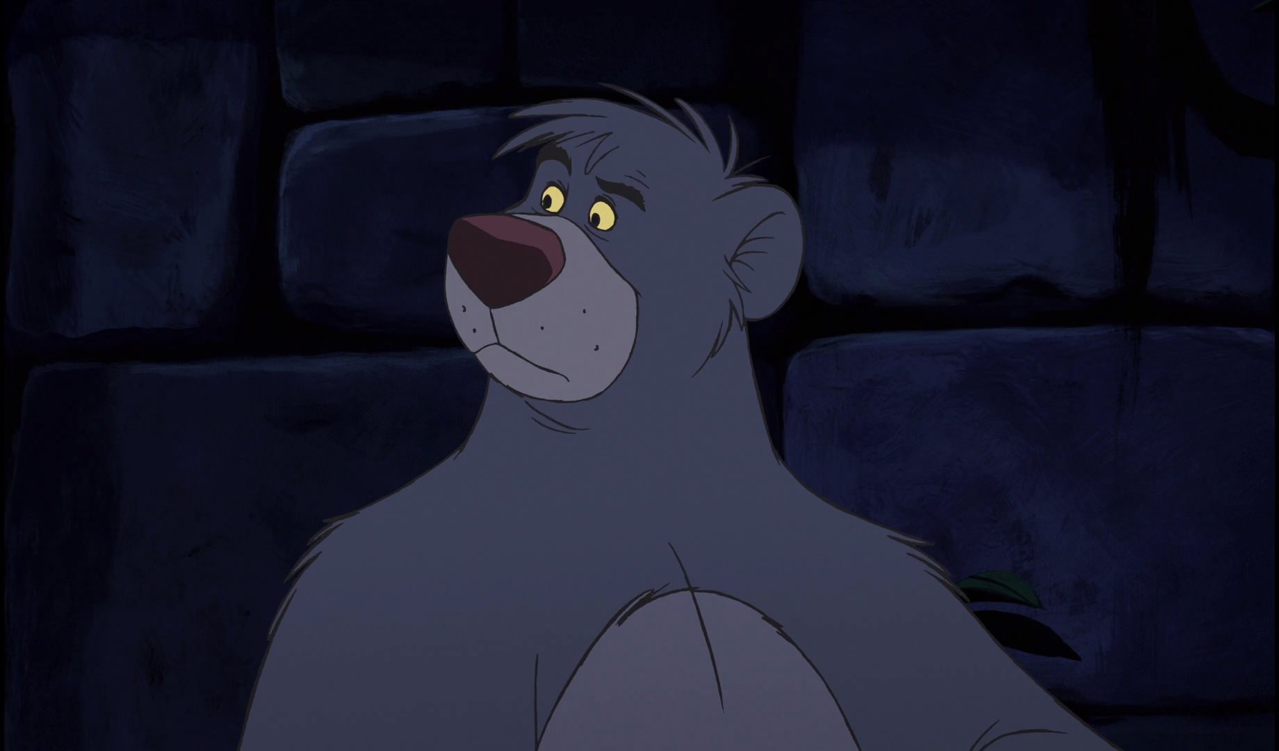 Photo de Baloo