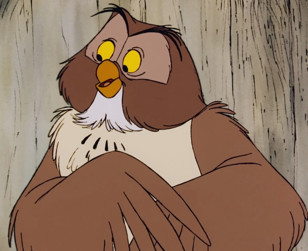 Maître Hibou