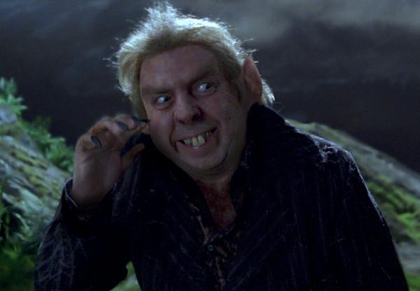 Peter Pettigrew